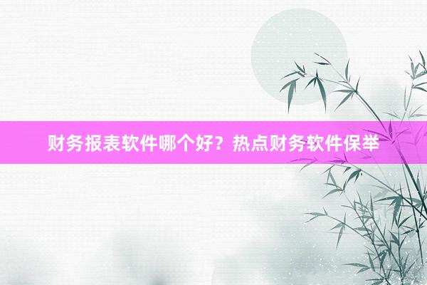 财务报表软件哪个好？热点财务软件保举