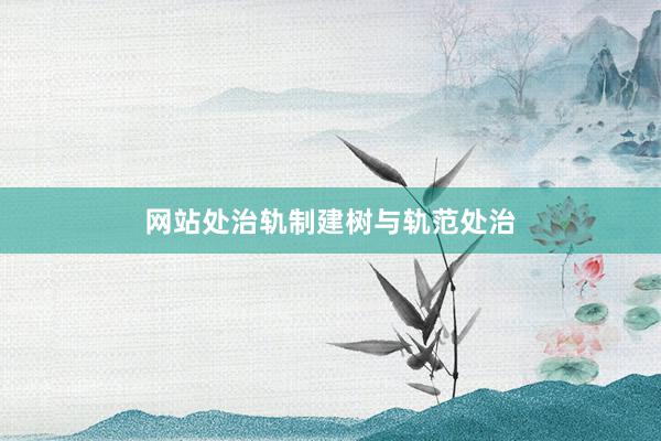 网站处治轨制建树与轨范处治