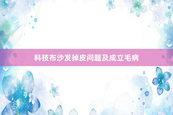科技布沙发掉皮问题及成立毛病